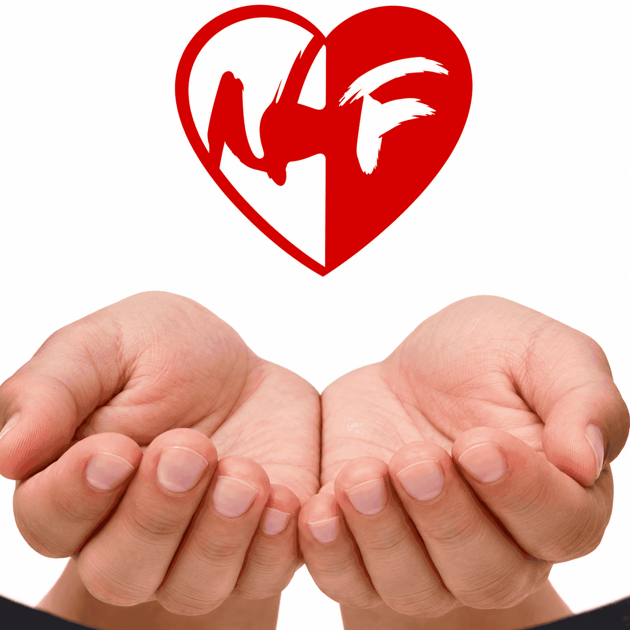 Logotipo de la asociación: un corazón con las siglas NF sobre dos manos abiertas